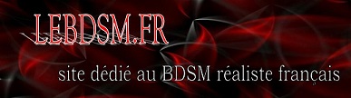 LeBDSM.fr